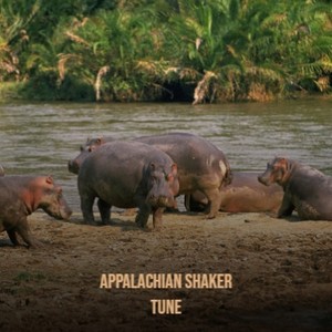 Appalachian Shaker Tune