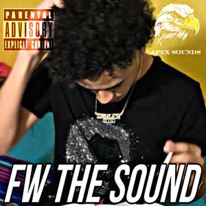 FW THE SOUND (feat. APEX SOUNDS) (Explicit)