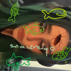 ヽ (o＾▽＾o) ノ (Explicit)