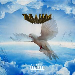 TRAUM(feat. Wassim Yasein) (Explicit)