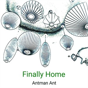 Finally Home (Explicit)