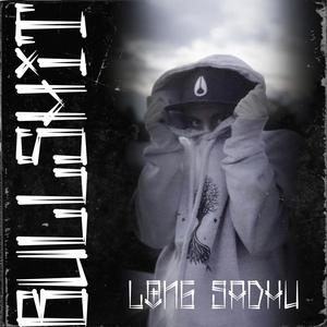 bullshit - long sadhu - qq音乐-千万正版音乐海量