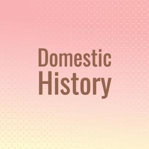 Domestic History