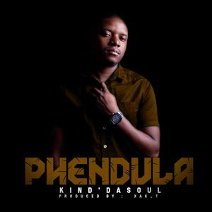 Phendula(feat. Xak_T)