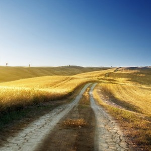 爱到痛时入了骨 (男生版)