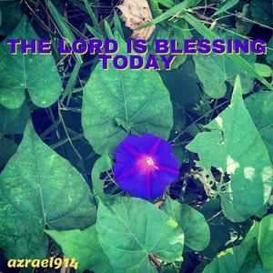 The Lord is Blessing Today