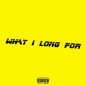 What I long for (feat. DTB Zeke & TFL Truth) [Explicit]