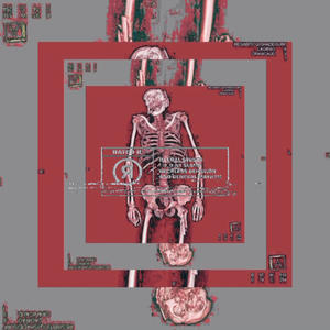 SHOW ME (feat. ImNotMelrose) (Explicit)