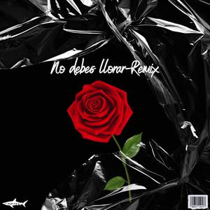 No debes llorar (feat. El path Aesy & Macis 4E) (Remix)