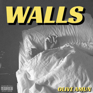 Walls (Explicit)