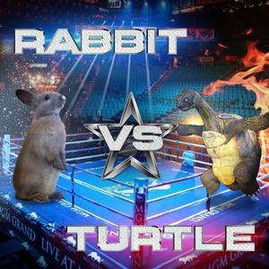 Rabbit Vs. Turtle：2011 SmackDown