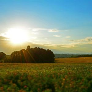 coming back for more <3 (Explicit)