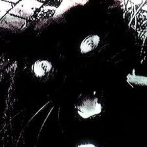 Make Believe (Explicit)