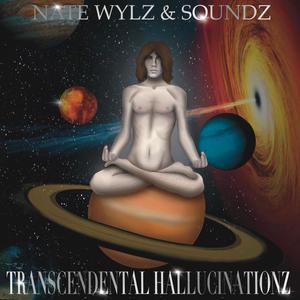 Transcendental Hallucinationz (WYLZ) [Explicit]