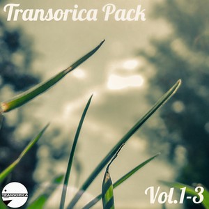 Tiger (Original Mix)