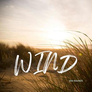 Wind