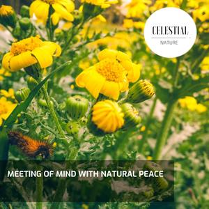 Meeting of Mind With Natural Peace