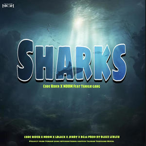 Sharks (feat. MDDM, LBLACK, Jerry & BG34) (Explicit)