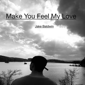 Make You Feel My Love