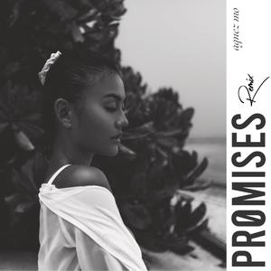 PROMISES (Remix)
