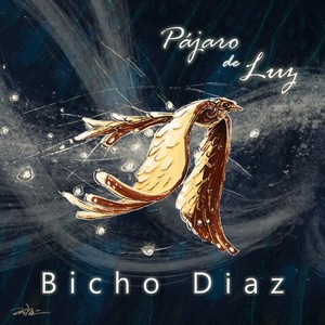 Bicho Díaz - Pájaro de Luz(feat. Mariano Velez)