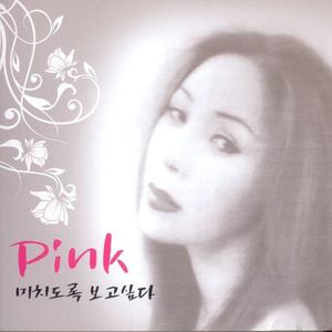 핑크 (Pink) 미치도록 보고싶다