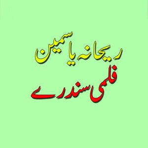 Saray Saray Stargay Ratah