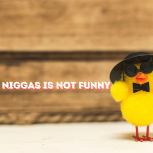 Niggas Is Not Funny (Explicit)