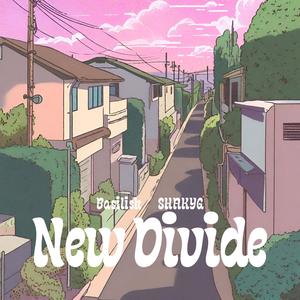 New Divide