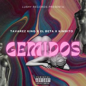 Gemidos (feat. El beta, Kimbito & Tavarez King) [Explicit]