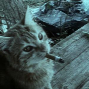 čakám ako na meškanie vlaku