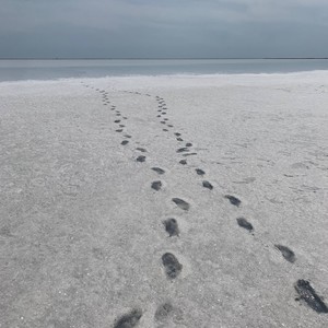 1000 Watt (Explicit)