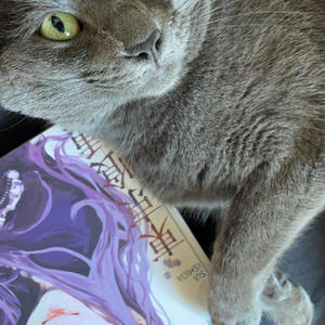 doja (feat. Vanni Lontana) (Explicit)