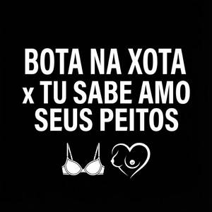 BOTA NA XOTA x TU SABE AMO SEUS PEITOS (Explicit)