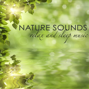 Nature Sounds Relax and Sleep Music - Natural White Noise and Sounds of Nature for Deep Sleep, Zen Meditation, Lullabies for Baby Sleep and Relaxation, Ambient Sounds for Good Night Sleep and Lucid Dreams