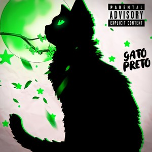 Gato Preto