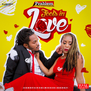 Fools in Love (Radio Edit)