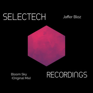 Bloom Sky (Original Mix)