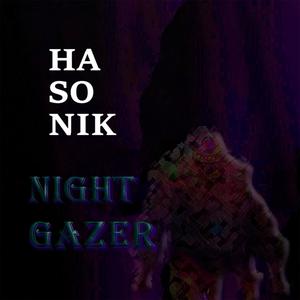 NIGHT GAZER