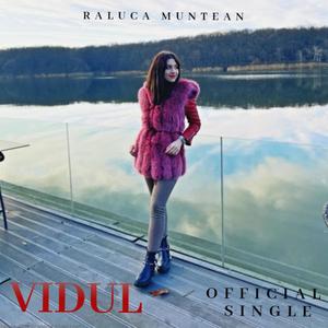 Vidul