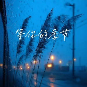 等你的季节-筱天赐