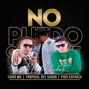No Puedo Olvidarte(feat. Mc Tairo Mk & Tropikal Del Sabor)