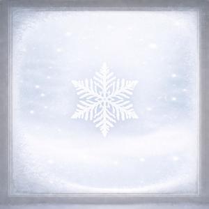 Holiday D (feat. FloralFyre) (Explicit)