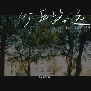 少年路远 (Live) - 杨恩林封面