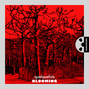 Blooming