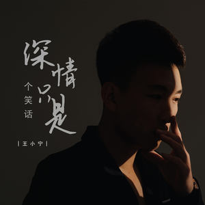 深情只是个笑话-王小宁