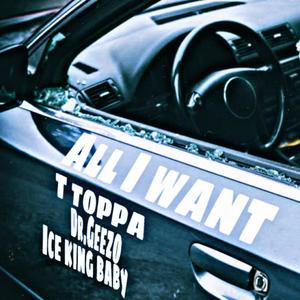 All I Want (feat. Dr.Geezo & Ice king baby) [Remix] [Explicit]