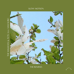 Slow Motion (Punctual Remix Radio Edit)