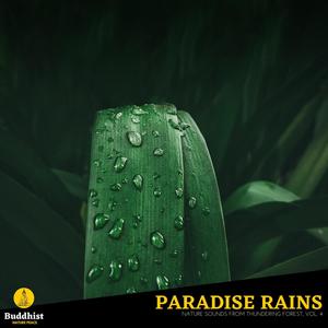 Paradise Rains - Nature Sounds from Thundering Forest, Vol. 4