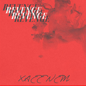 REVENGE (Explicit)